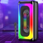 Kakusiga KK-4202 Mikrofon