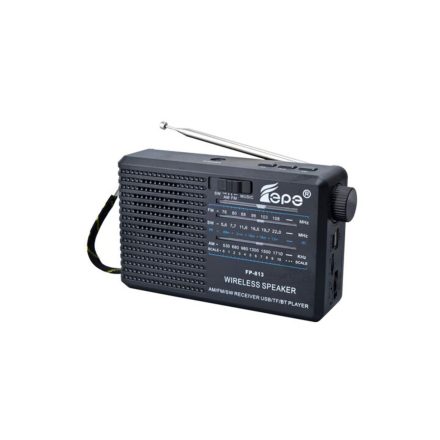 ZQS Fp-813 Bluetooth Speaker Rádióval Fekete