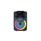 TTD-818 party hangszóró