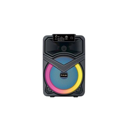 TTD-818 party hangszóró